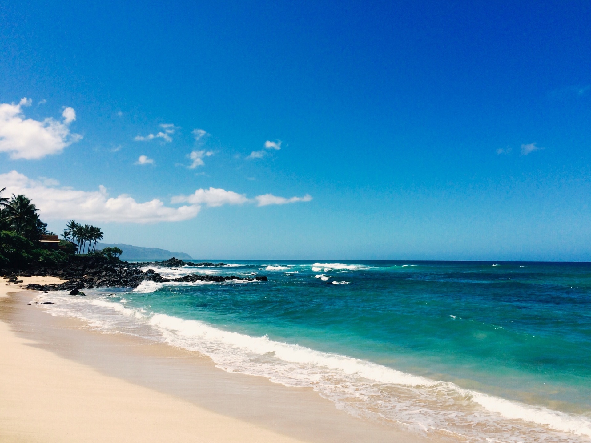 ハワイの思い出をお持ち帰り！: Belle Vie Hawaii(ベルヴィーハワイ)